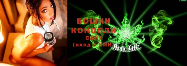 тгк Нея