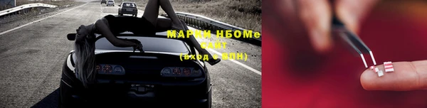 тгк Нея