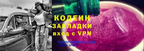 индика Надым
