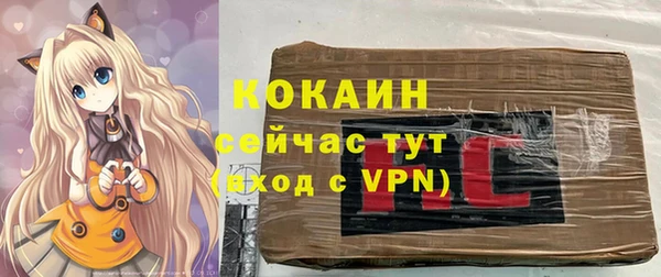 тгк Нея