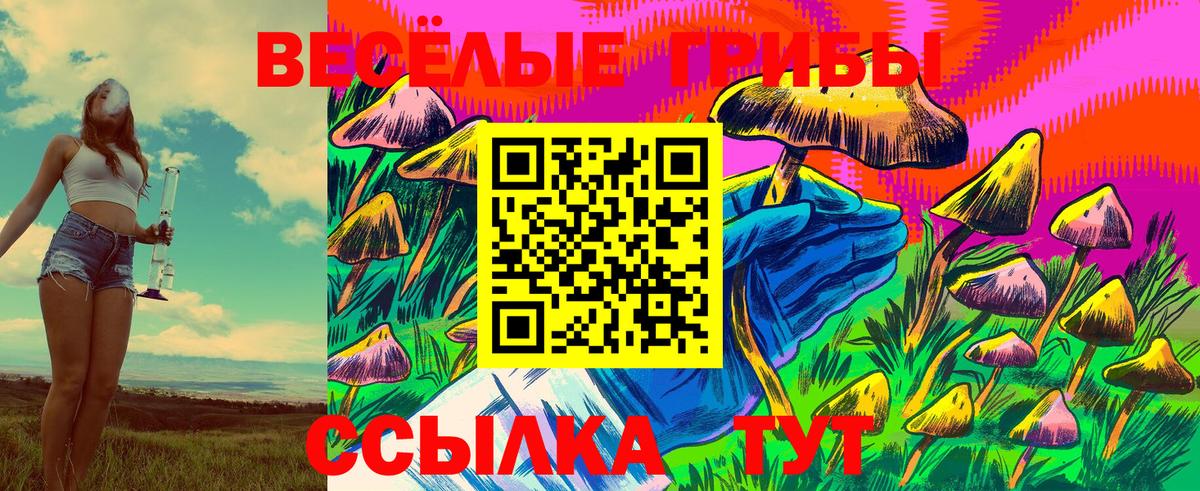 Псилоцибиновые грибы мицелий Каменка